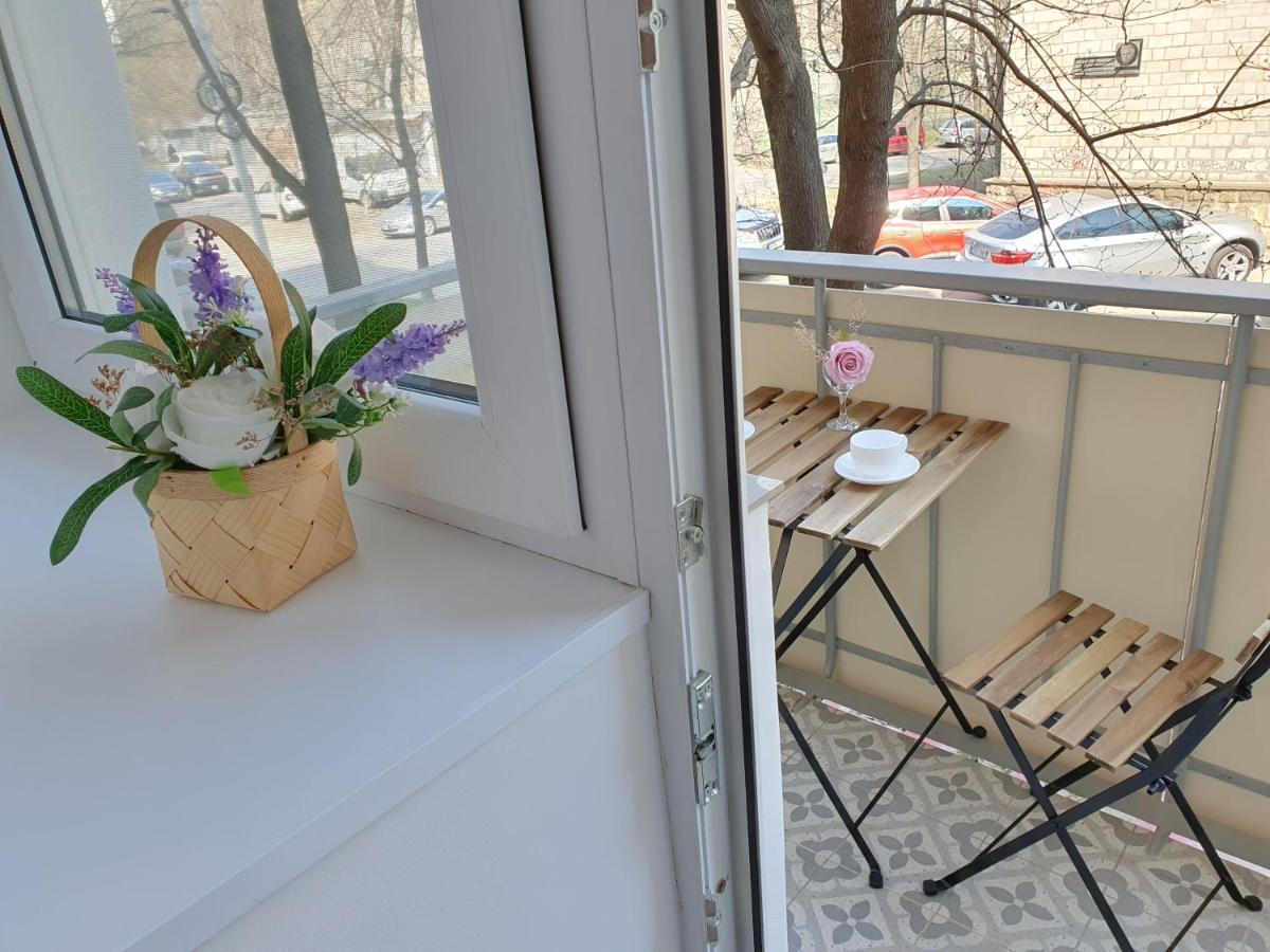 All New And Cozy Apartment In The Silence Center Kisinyov Kültér fotó